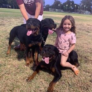 Meet your Posher, Brandon